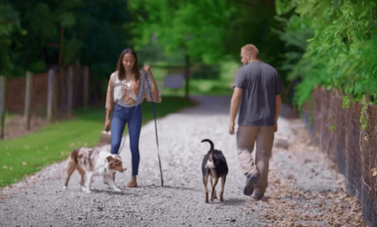 two humans with two dogs on leash in gravel drive