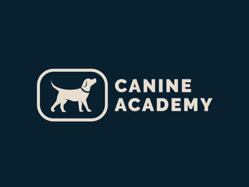 Canine store academy boarding